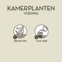 Pokon Kamerplanten Voeding instructie